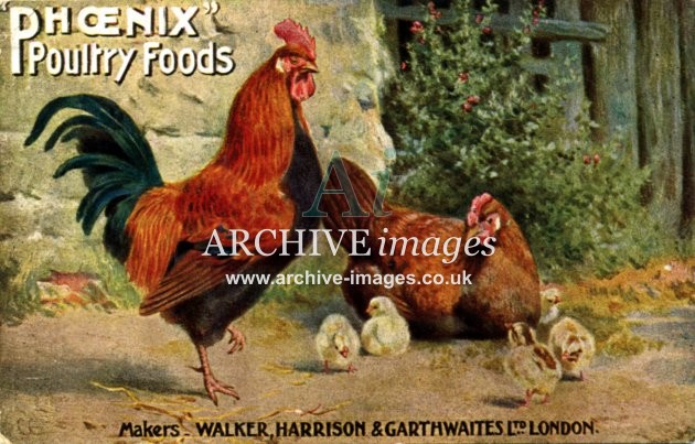 Advertising Phoenix Poultry Foods advert c1910 CMc