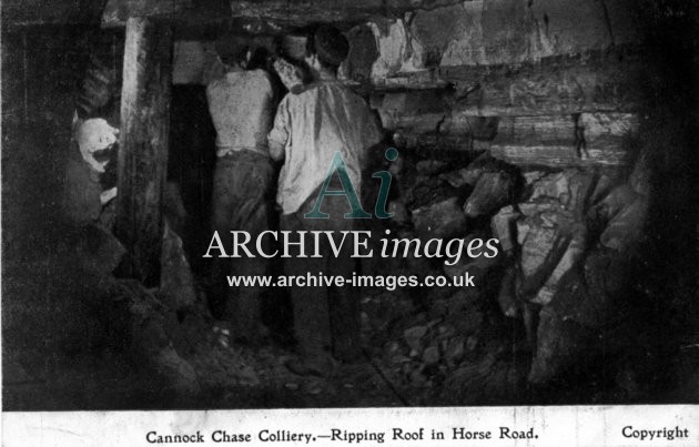 Staffordshire Mining Cannock Chase colliery ripping roof in horse road c1905 CMc