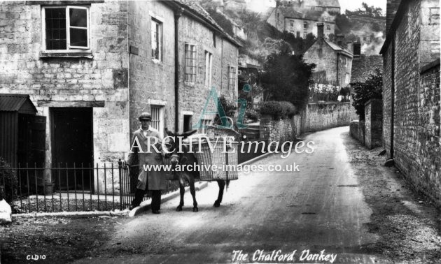 Gloucestershire Chalford donkey c1930 CMc