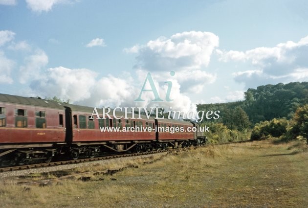 Ballingham station goods yard, Glos train 10.64