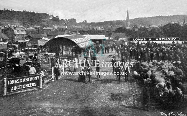 Ledbury Cattle Market c1905