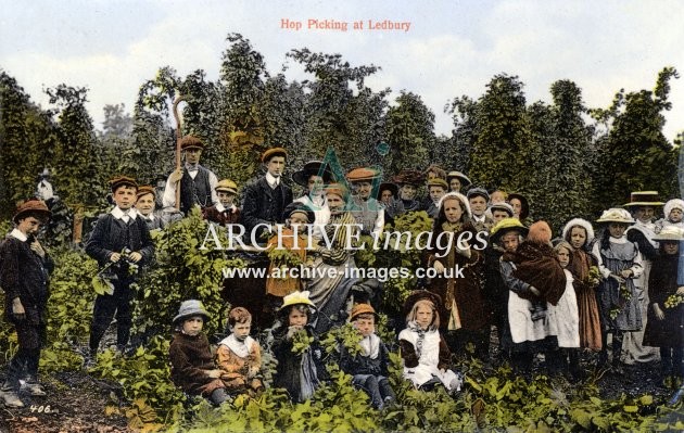 Ledbury Hop Picking c1908 A