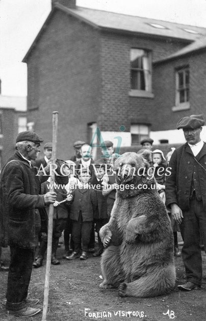 Performing Bear & Gypsy c1908