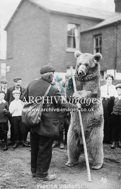 Dancing Bear & Gypsy c1908