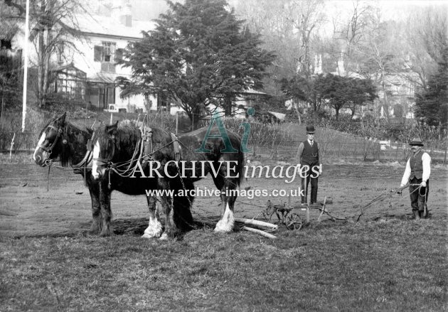 Ploughing With Horses nr Weston Super Mare c1910