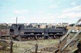 Ex-GWR pannier tanks No's 3619 and 8718 in Kidderminster shed yard on 12th April 1963