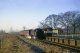 BR Standard tank No 80080 at Tinkers Green Halt in January 1965. Halt opened by the GWR in 1939 to serve a nearby military camp. It closed to passengers on 18th January 1965.