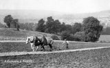 Plough & pair of horses on hill above Stroud
