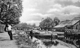 Bow hauling a wide beam barge on the River Wey at Weybridge circa 1905