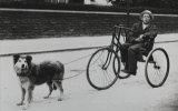 Tricycle & Dog MD