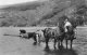 Rura Fishing With Horses In Loch MD