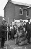 Foreign Gypsy & Performing Bear at an unknown location (believed to be northern England) c1908