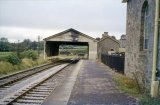 The train shed at Moretonhampstead on 12th August 1961. Passenger services had been withdrawn in March 1959