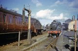 Prairie tanks No's 5544 and 5569 crossing with Up and Down services at Horrabridge station on 3rd April 1962