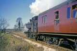 The 1.15pm Evercreech Junction-Highbridge train at Pylle Halt on 31st March 1962