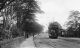 Tram near Woodley Railway Station MD