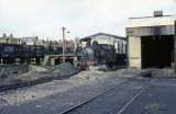 No. 35 outside Ryde shed in 1966