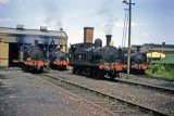 Locomotives No's 27, 28, 24 and 35 at Ryde shed on 25th June 1960.