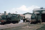 Nos W14 & W24 at Ryde shed in August 1964