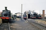A line up of O2s, Nos W22, W24, W31 & W35, at Ryde shed circa 1962