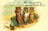 Louis Wain, Series No 957, We Are Getting Quite Attached