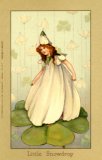 This set of 6 Flower Fairies is Margaret Tarrant's earliest known work to appear on picture postcard. Please note: The majority of Margaret Tarrant's work was published by Medici Cards. As this company is still in existence, we shall not be including any Tarrant images from any of these series on the Ai website. Those Tarrant images we do feature have never appeared in the Medici range.  