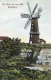 Wellingore windmill & stone pit colour