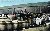 Orkney Stronsay Herring Fishing Industry fisher girls gutting Kent series c1910 CMc.jpg