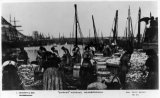 North Yorkshire Scarborough gipping herring fishing industry c1908 CMc.jpg