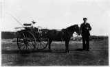 Scilly Isles 1912 Harold and his pony cart St Marys CMc.jpg