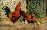 Advertising Phoenix Poultry Foods advert c1910 CMc.jpg