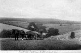 Dumbartonshire Helensburgh harvest scene c1910 CMc.jpg