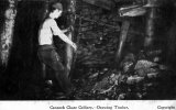 Staffordshire Mining Cannock Chase colliery drawing timber c1905 CMc.jpg