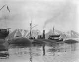 Whaling ships Spitzbergen 1905